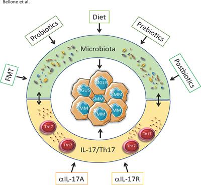 Frontiers | The Insider: Impact Of The Gut Microbiota On Cancer ...